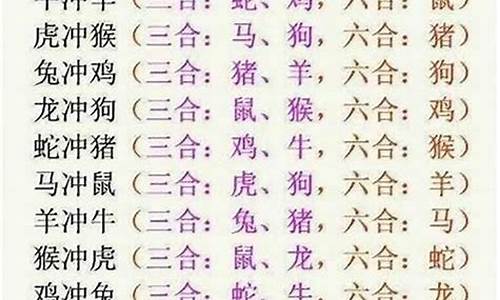 担什么意思?_担打一生肖是不是羊了