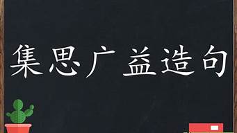 集思广益造句造句_集思广益造句造句大全