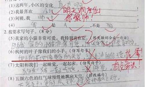 不容置疑造句四年级简单概括_不容置疑造句四年级简单概括一下