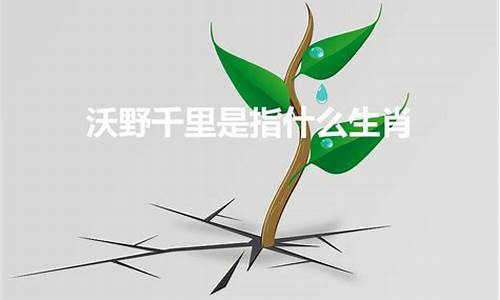 沃野千里什么意思_沃野千里什么意思啊